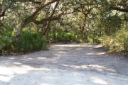 Lush vegetation of Spanish moss draped live oak, Cedar, and palmetto surrounding an open campsite with a picnic table, fire ring, and cloths line.