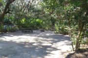 Lush vegetation of Spanish moss draped live oak and palmetto surrounding an open campsite with a picnic table, fire ring, and electrical hook-up stanchion.