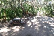 Lush vegetation of Spanish moss draped live oak and palmetto surrounding an open campsite with a picnic table, fire ring, cloths line, water spigot, and electrical hook-up stanchion.