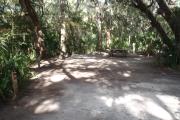 Lush vegetation of Spanish moss draped live oak, cedar, and palmetto surrounding an open campsite with a picnic table, fire ring, cloths line, water spigot, and electrical hook-up stanchion.
