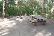 Lush vegetation of live oak and palmetto surrounding an open campsite with a picnic table and fire ring.