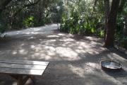 Lush vegetation of Spanish moss draped live oak and palmetto shading an open campsite with a picnic table, fire ring and water spigot.