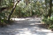 Lush vegetation of Spanish moss draped live oak, sable palm, cedar, and palmetto shading an open campsite with a picnic table, fire ring, cloths line, water spigot, and electrical hook-up stanchion.