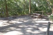 Lush vegetation of sable palm, cedar, and palmetto surrounding an open campsite with a picnic table, fire ring, and water spigot.