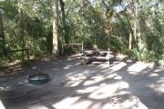 Lush vegetation of Spanish moss draped live oak, sable palm, cedar, and palmetto surrounding an open campsite with a picnic table, fire ring, and cloths line.