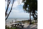 Photo: LONG KEY SP. A dappled shadowed view of a picnic table under a Palm tree on a campsite overlooking the Atlantic Ocean.