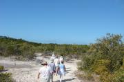 Photo: LONG KEY SP. A group of six people on a Ranger led guided walk around the Golden Orb Trail amongst the Mangrove and Buttonwood trees