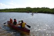 Photo: LONG KEY SP. Four boats of canoeists paddling around the Long Key Lakes Trail by the Mangroves with sunlight reflecting off the water.