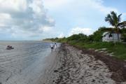 Photo: LONG KEY SP. A couple holding hands while walking along the shoreline at the edge of the water in the campground.