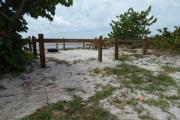 Photo: 002, View from road looking south toward Atlantic Ocean through the campsite. Wooden rails line the sides of the site along with green sea grape trees as well as other vegetation in the buffer zone between the campsites.