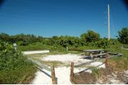 Photo: 003, View showing campsite through shoreline access in fence rails. A picnic table and fire ring is on the right side of site. Electric service is on the left side of the site. Green vegetation surrounds the campsite.