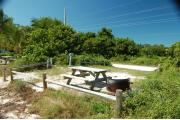 Photo: 003, View from shore line over fence rails showing picnic table and fire ring to the right. On the left side of site is the water and electrical service. Sea Grape and Palm trees are in the buffer zones between the sites.