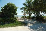 Photo: 004, View of site from campground road looking south through the site to the ocean. Fence rails and picnic table are shown with Palm and Buttonwood trees to the right and Sea Grape tree to the left. A sign post to the lower left shows the site number with an arrow pointing to the site.
