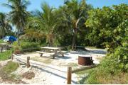 Photo: 004, View from shore line over fence rails with picnic table and fire ring to the front. Palm trees Buttonwood trees and a Sea Grape are in the buffers around the site. A picnic table and blue tent are visible in adjoining sites to the left.