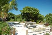 Photo: 004, Looking back through the shoreline access in the fence rails a picnic table and fire ring are visible to the right. The electrical and water access is in the buffer area to the far right. A Sea Grape and Palm trees provide some limited shading on the site.