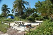 Photo: 005, Looking across the site toward the road the picnic table and fire ring are to the right front. A blue tent is visible on the next site with the water and electric services located between the sites. Palm and Buttonwood trees are in the buffers around the site. Sea Grapes line the road in front of the site.