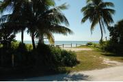 Photo: 006, Looking from the camp road toward the water, the Palm trees shade the site marker. The grassy and sand site is bordered be the green vegetation, with the ocean visible beyond the campsites fence rails which border the site.