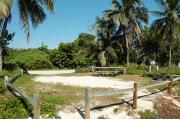 Photo: 006, Looking thru the shore line access to the site the picnic table and fire ring are to the right along with the water and electrical services. Palm trees are on both sides of the campsite.