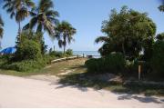 Photo: 007, From the camp road looking back across the camp site to the Ocean beyond, Palm and Buttonwood trees line the buffers between the sites. A blue tent is visible on the next site over.