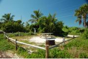 Photo: 007, Green plants and palms highlight the campsite. Electric and water services are on the far left side between sites. A picnic table and campfire ring are on the site.