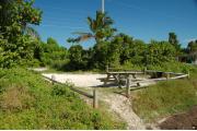 Photo: 009, Looking thru the shoreline access into the campsite, the fire ring and picnic table are to the front right. Sea Grape and Palm trees mark both sides of the campsite.