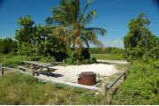 Photo: 009, A view across the campsite surrounded by morning glory, palm, sea grape and buttonwood trees. The picnic table and fire ring are to the front of the sandy site.