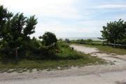 Photo: 012, From the camp road looking into the site, trees are near the road with smaller grasses and bushes on the ocean side.