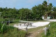Photo: 012, Looking thru the shoreline access into the site the picnic table and fire ring are to the front.