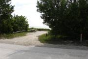 Photo: 013, Looking from the camp road the picnic table and fire ring are to the far left. Buttonwood trees grow to the front of the site.