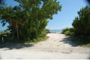Photo: 016, A view from the camp road thru the site to the ocean, the picnic table and fire ring is to the far left with the ocean beyond. Thatch palms and buttonwoods line the side of the site.