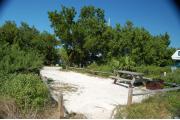 Photo: 016, From the shoreline looking into the site the water and electrical services are to the right, just beyond the picnic table and fire ring.