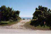 Photo: 017, Looking into the site from the camp road, the picnic table and fire ring are at the far end of the site with the ocean beyond.