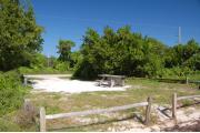 Photo: 019, From the shoreline the picnic table is in the middle of the sand and grass site. Buttonwood trees are on both sides of the site by the campground road.