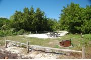 Photo: 019, Looking from the shoreline toward the campground road the fire ring is to the lower right and the picnic table is toward the center. Palm and buttonwoods are on the side of the site.