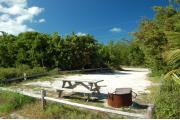 Photo: 020, The fire ring and picnic table are to the front right of the site behind the fence rails. Trees surround most of the site.