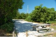 Photo: 021, Looking thru the shoreline access, the shadows from the buttonwood trees fall across the site. The picnic table and fire ring are off the right.