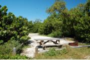 Photo: 023, With the picnic table and fire ring an the near side, sea grape and buttonwood trees line the outside of the fence rails of the sandy campsite.