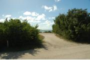 Photo: 024, Viewed from the campground road, buttonwood trees line portions of the campsite. The picnic table is at the far end of the sand site.