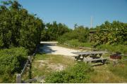 Photo: 024, With wooden fence rails marking the edge of the site the picnic table and fire ring are located at the near end of the site. A brown motor home is glimpsed thru the vegetation to the right.