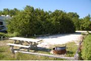 Photo: 024, With the shade from the buttonwoods falling across the site, the picnic table and fire ring are to the near side. A white motor home is visible on the site to the left.