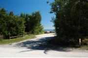 Photo: 025, Looking from the campground road the picnic table is seen with the ocean just beyond. Button wood trees line portions of the side of the site.