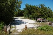 Photo: 025, Viewed from the shoreline the picnic table and fire ring are on the right. Button wood trees grow to the outside of the fence rails.