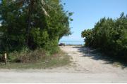 Photo: 026, With a palm tree and button woods to the sides, the picnic table is to the far end of the site with the ocean beyond.