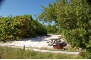 Photo: 026, With the fire ring and picnic table to the lower right, sea grapes adorn the far side of the site.