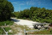 Photo: 027, Looking thru the shoreline access into the site the picnic table and fire ring are to the right. Buttonwood trees and a sea grape line the side of the site.