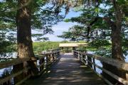 Photo: MANATEE SPRINGS SP