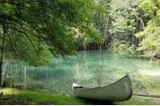 Photo: MANATEE SPRINGS SP