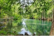 Photo: MANATEE SPRINGS SP