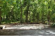 A Hardwood Hammock with scattered palmettoâs and grasses surrounds the campsite marker.