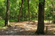 A Hardwood Hammock with scattered palmettoâs and grasses surrounds this large open campsite.  Site is mostly shaded with water/electric on right of site along with fire ring, picnic table and cloths line posts.  Site is level.